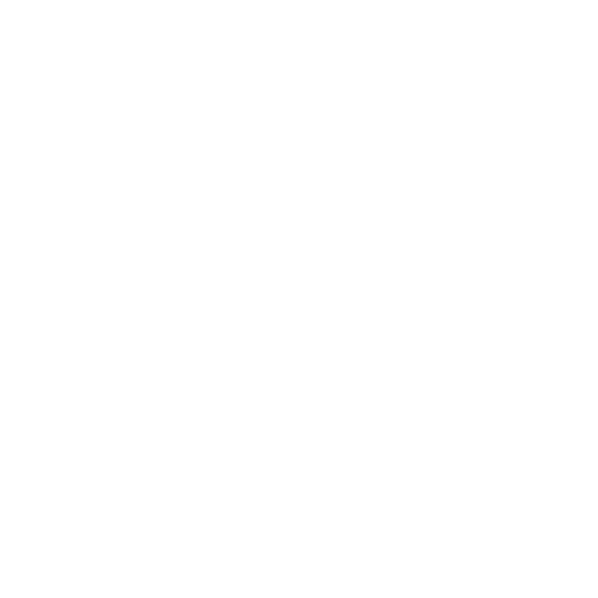 Endless Cinema Weddings